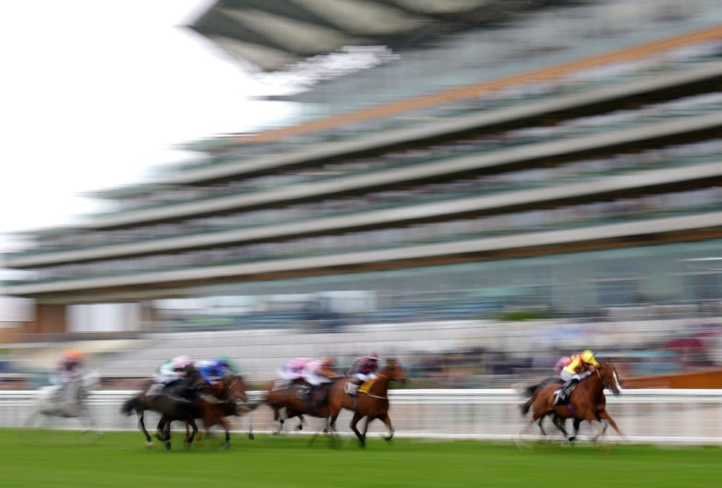 Five Horses To Follow: Royal Ascot 2022, June 14-18