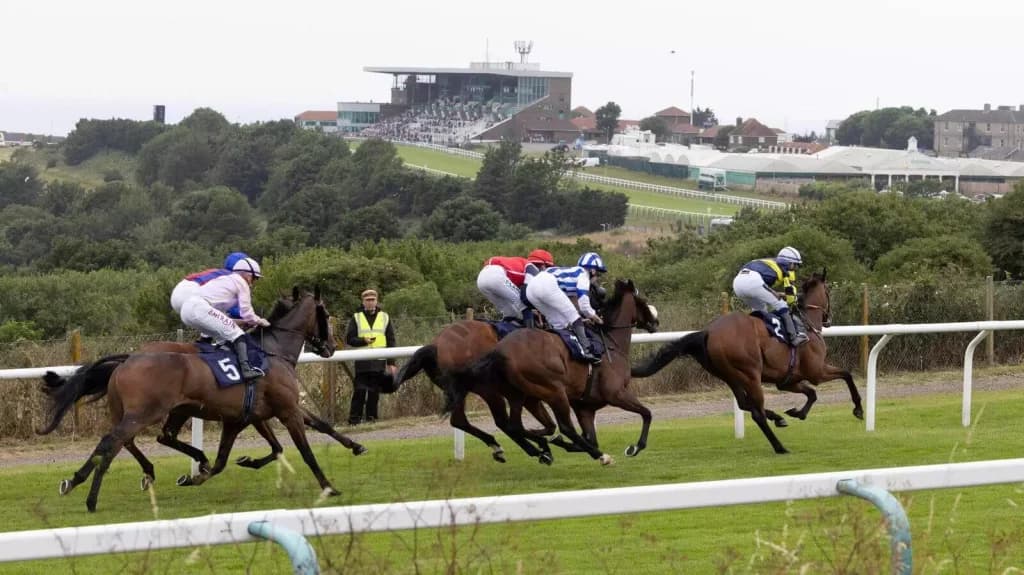 Tuesday’s Horse Racing Tips: Brighton, October 10th