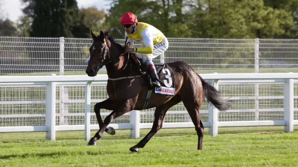 Wednesday’s Horse Racing Tips: Royal Ascot, June 19th