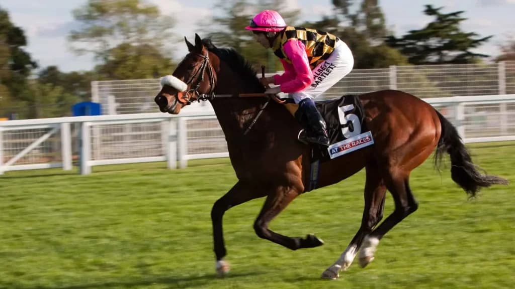 Friday's Horse Racing Tips: Ascot, July 26th