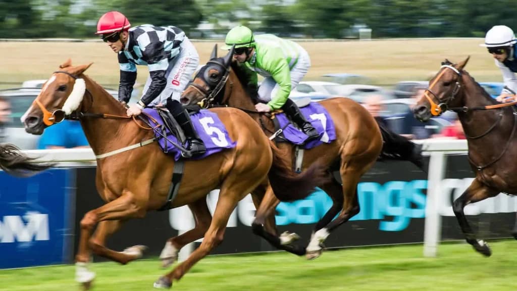 Tuesday's Horse Racing Tips: Beverley, June 25th