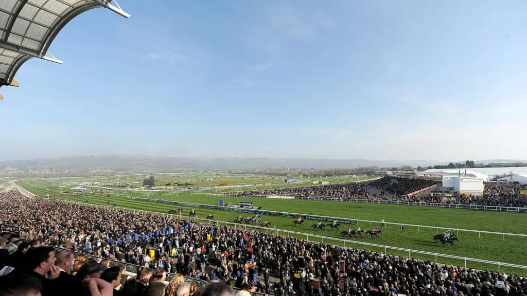 Friday’s Horse Racing Tips: Cheltenham, October 27th