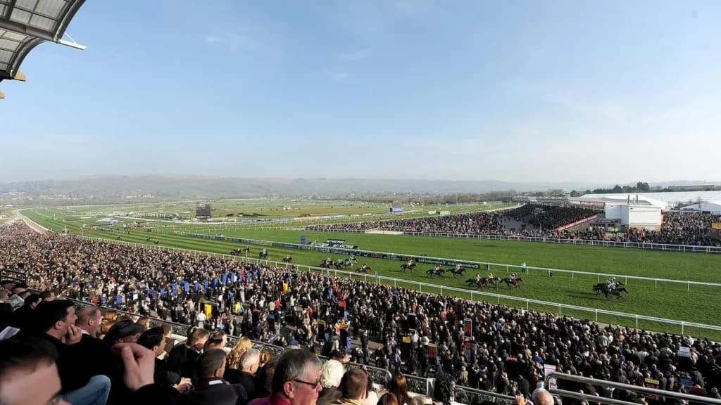 Friday’s Horse Racing Tips: Cheltenham, March 17th