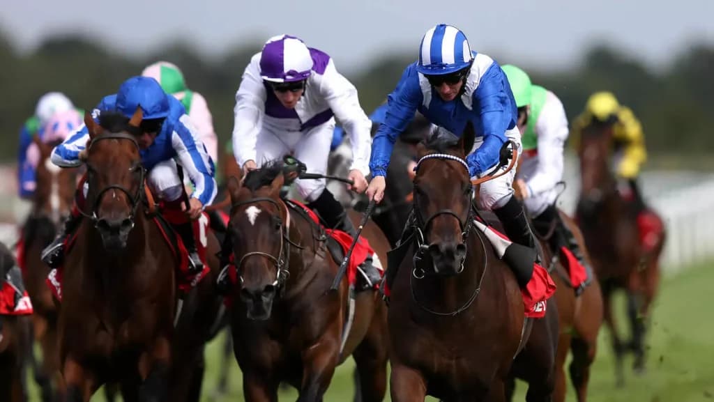Friday’s Horse Racing Tips: Newbury, December 1st