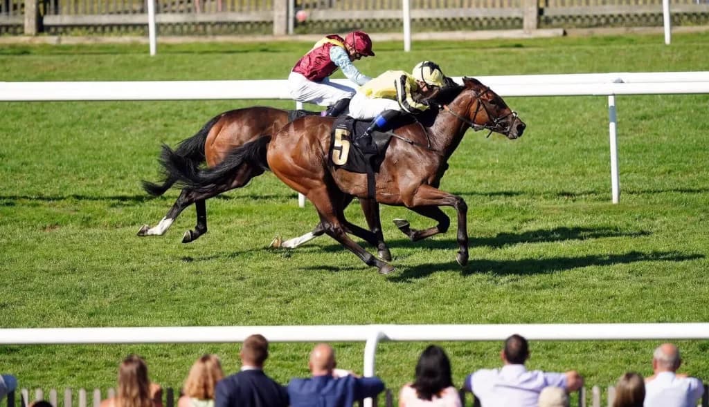 Saturday's Horse Racing Tips: Beverley, Goodwood, Newmarket August 27th