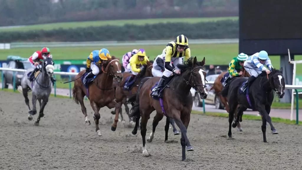 Wednesday’s Horse Racing Tips: Lingfield, January 11th
