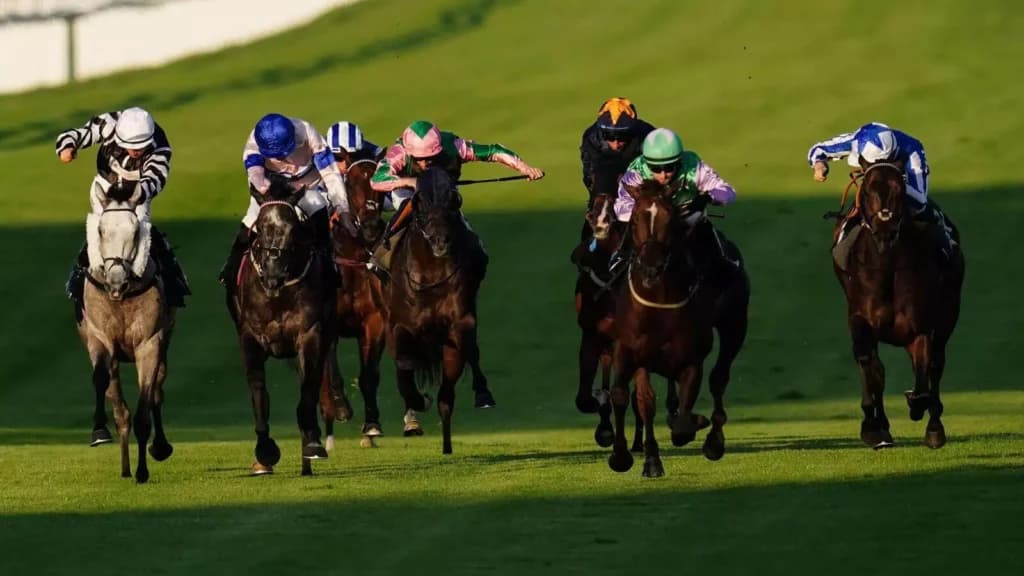 Saturday's Horse Racing Tips: Newbury, Newcastle, November 26th