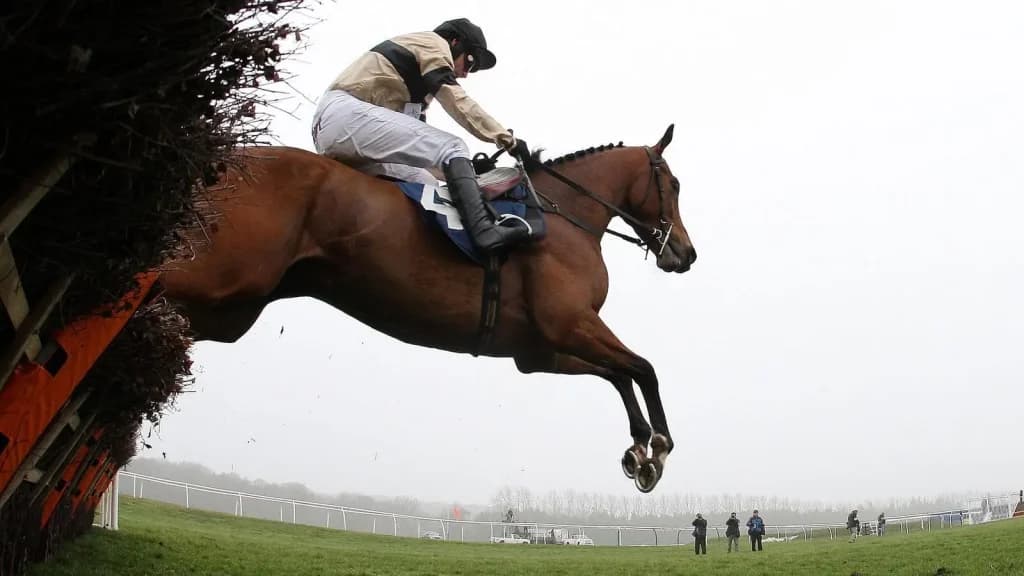 Friday's Horse Racing Tips: Newbury, August 16th