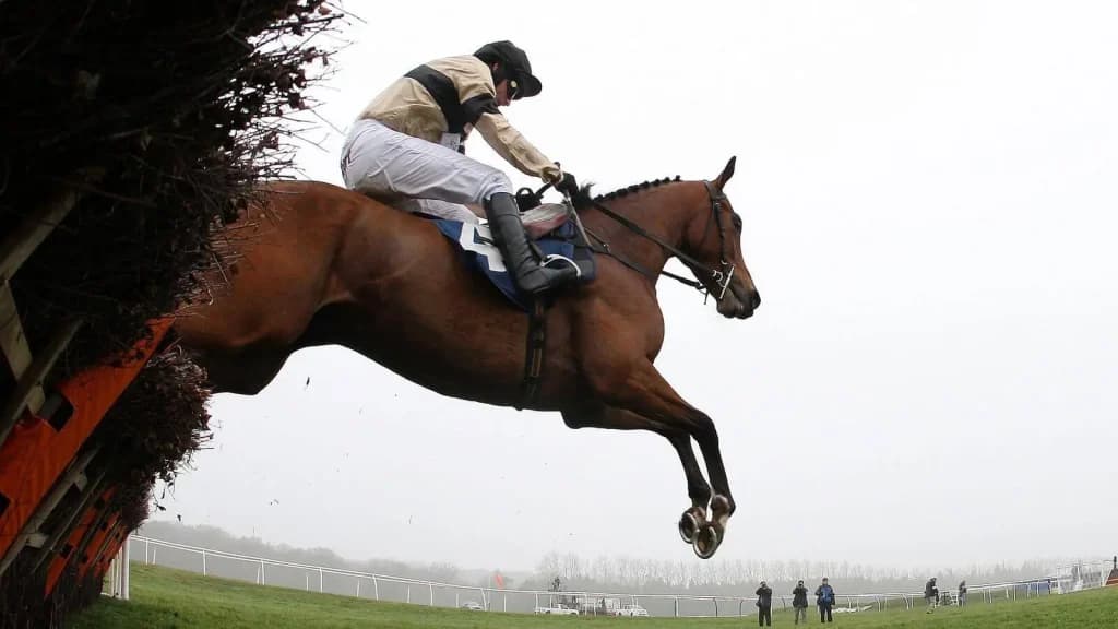 Wednesday's Horse Racing Tips: Newbury, January 17th