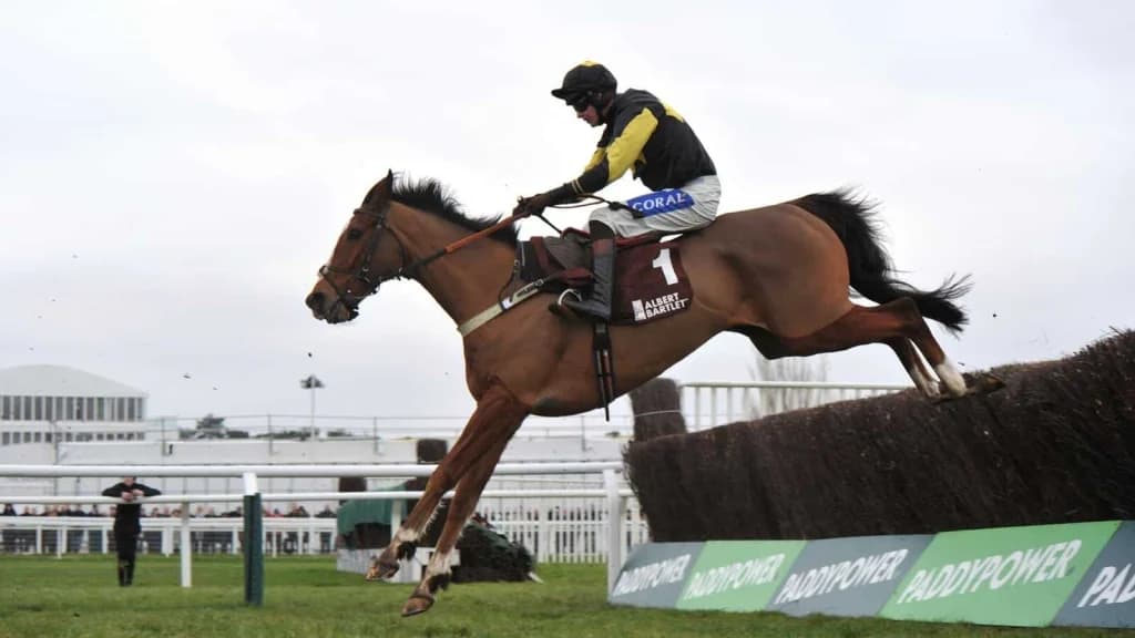 Saturday’s Horse Racing Tips: Cheltenham, Doncaster, December 14th