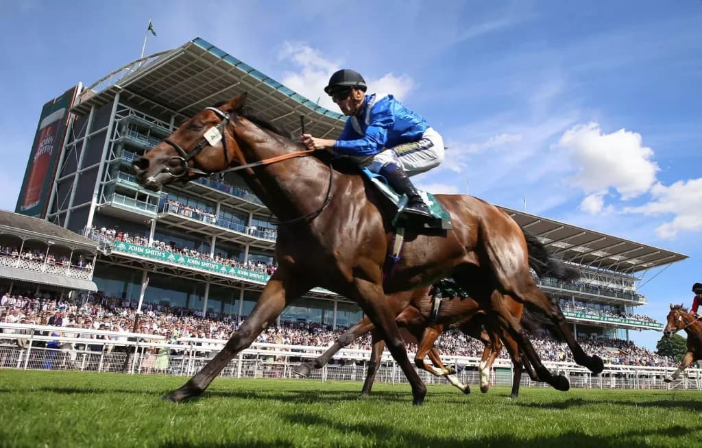 Wednesday’s Horse Racing Tips: York, August 17th