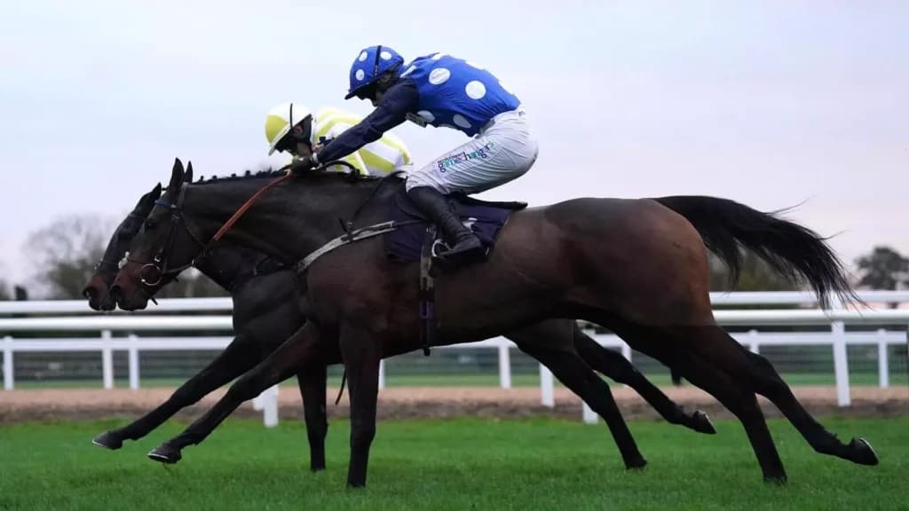 Friday’s Horse Racing Tips: Southwell, December 16th