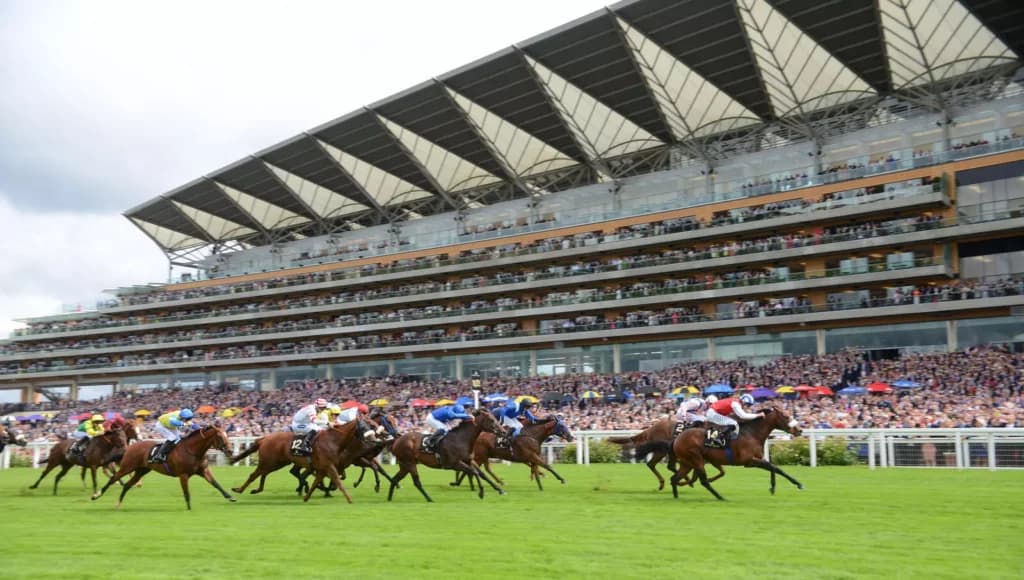Saturday's Horse Racing Tips: Ascot, Wetherby October 29th