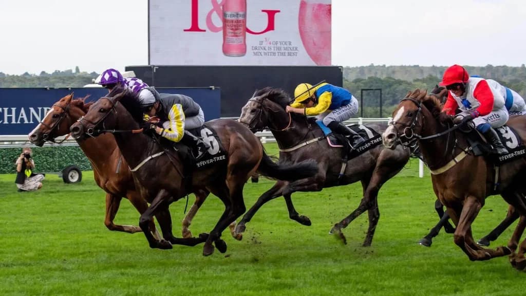Saturday’s Horse Racing Tips: Ascot, Newmarket, Redcar, October 1st