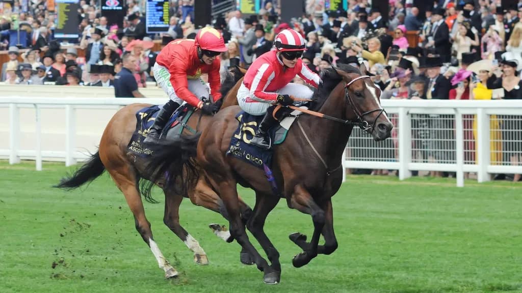Friday’s Horse Racing Tips: Royal Ascot, June 23rd