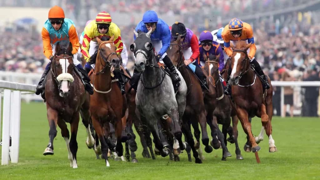 Saturday’s Horse Racing Tips: Ascot Haydock, December 21st