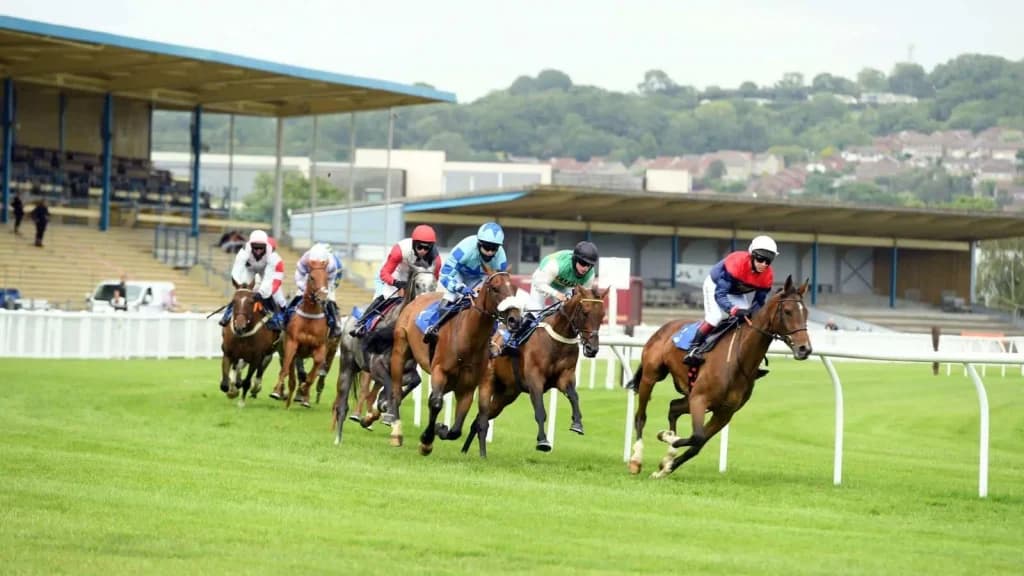 Wednesday's Horse Racing Tips: Newton Abbot, October 30th