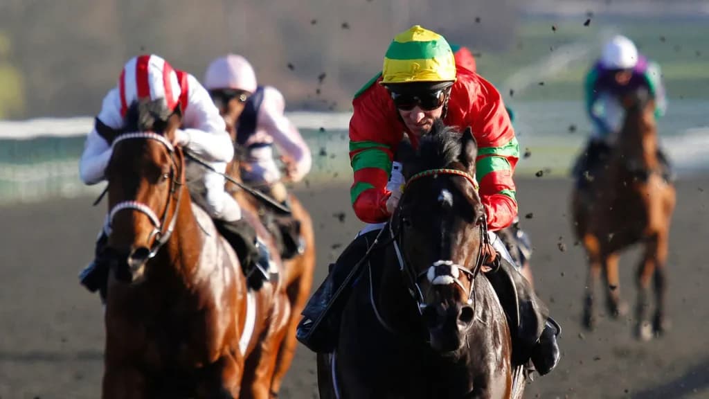 Tuesday's Horse Racing Tips: Lingfield, February 13th