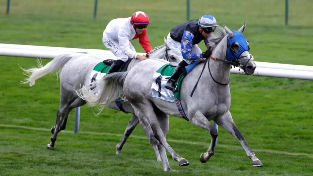 Friday’s Horse Racing Tips: Haydock, October 14th