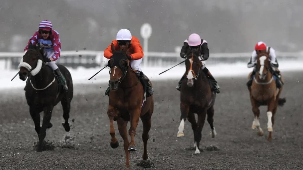 Thursday's Horse Racing Tips: Lingfield, February 22nd