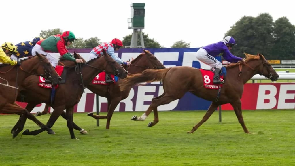 Saturday’s Horse Racing Tips: Haydock, Goodwood, York, Curragh, May 25th