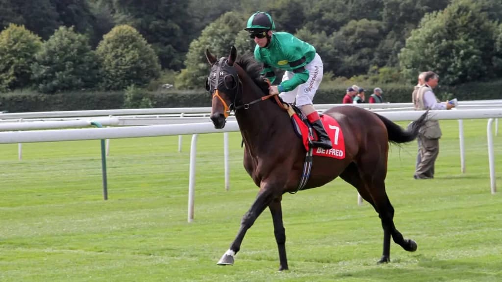 Thursday's Horse Racing Tips: Haydock, September 5th