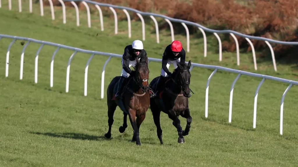 Friday's Horse Racing Tips: Exeter, November 8th