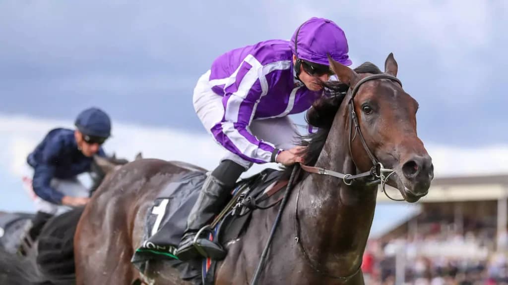 Saturday’s Horse Racing Tips: Newmarket, Newcastle July 1st