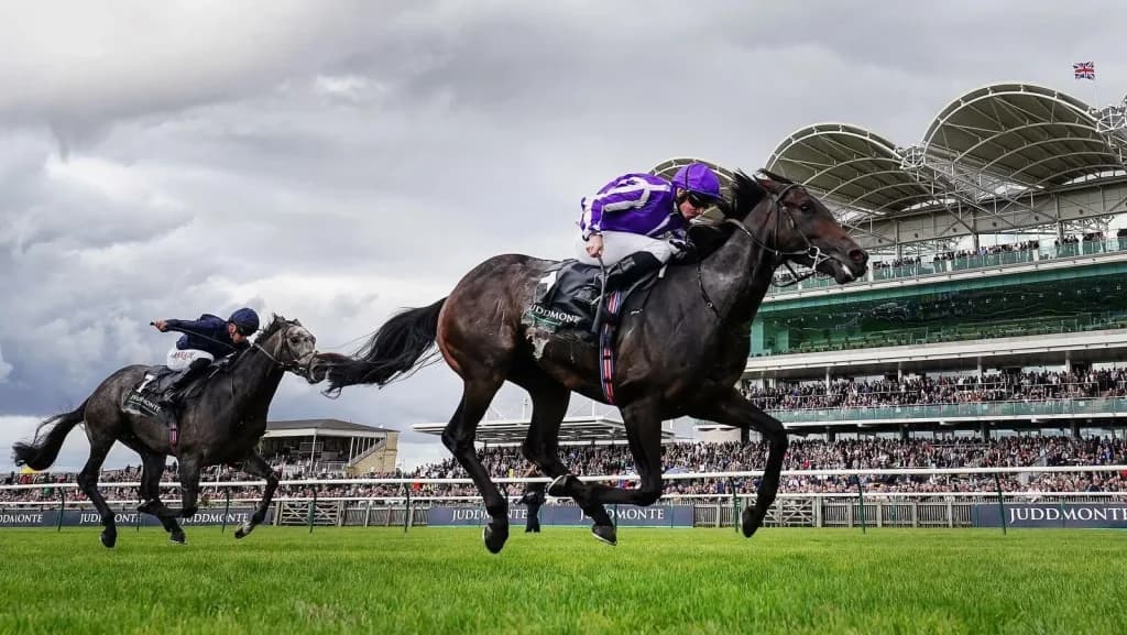 Saturday's Horse Racing Tips: Newmarket, York October 8th