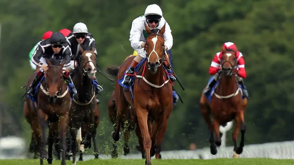Tuesday's Horse Racing Tips: Salisbury, June 11th