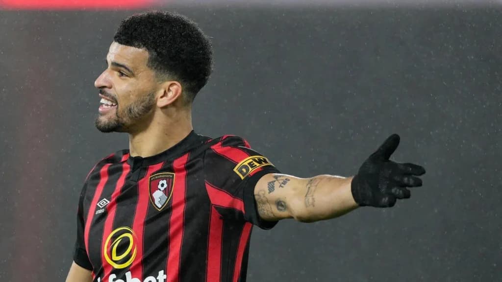 Wolves vs Bournemouth Prediction: Team News and Lineups Preview