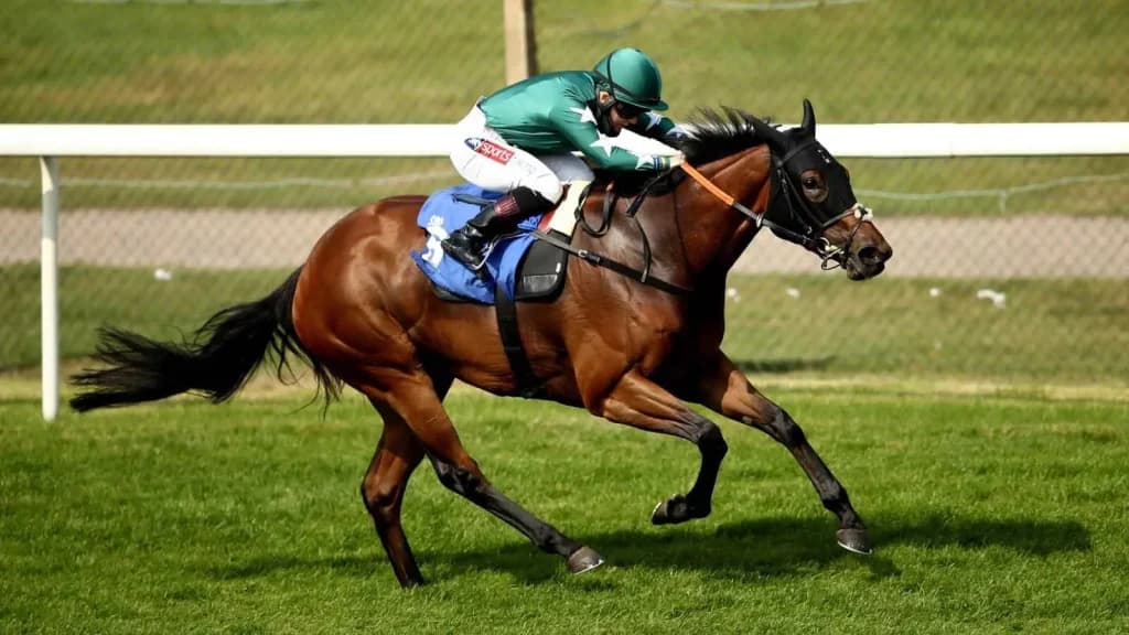 Thursday's Horse Racing Tips: Pontefract, September 19th