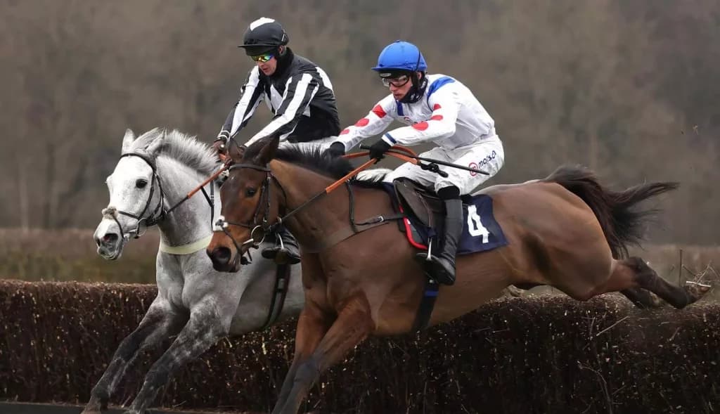 Wednesday’s Horse Racing Tips: Lingfield, August 31st