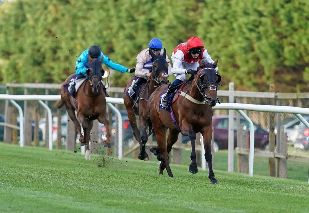 Thursday’s Horse Racing Tips: Brighton, August 4th