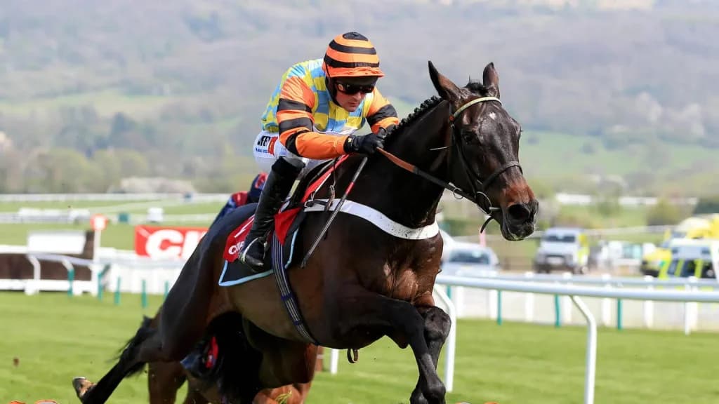 Cheltenham Day 3 Horse Racing Tips: Thursday, March 14th