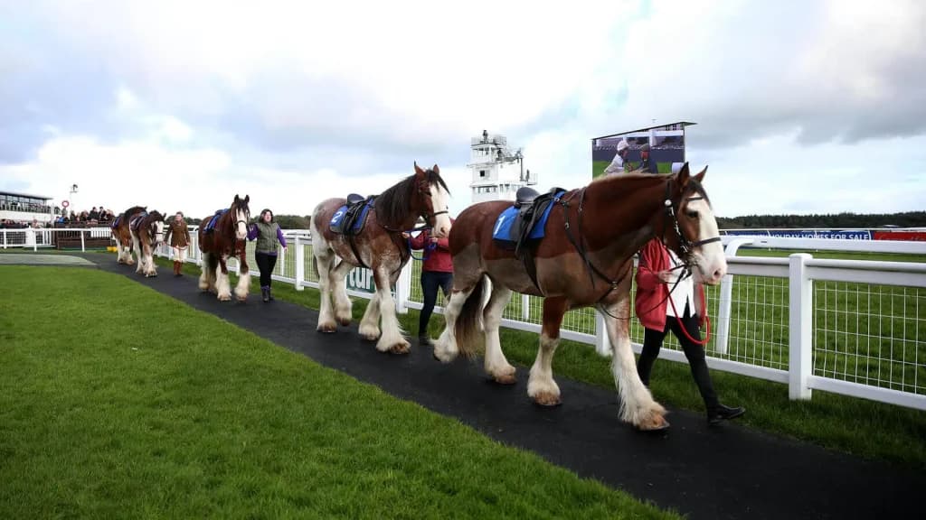 Tuesday's Horse Racing Tips: Exeter, March 19th