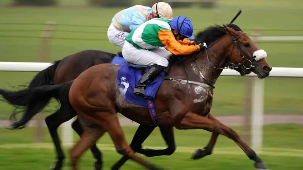 Monday's Horse Racing Tips: Pontefract, October 21st