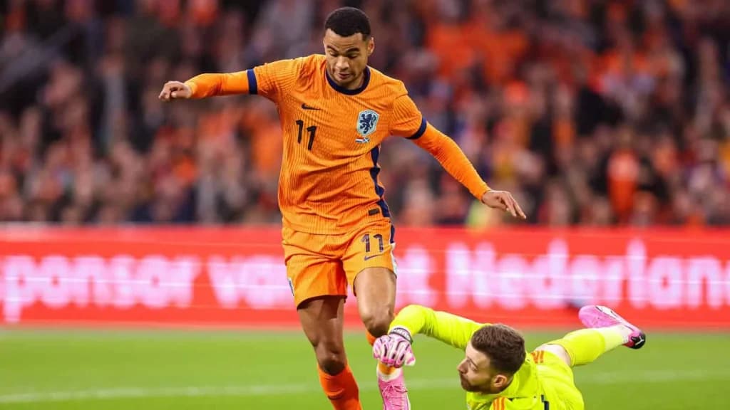 Poland vs Netherlands Prediction: Euro 2024 Team News and Lineups Preview