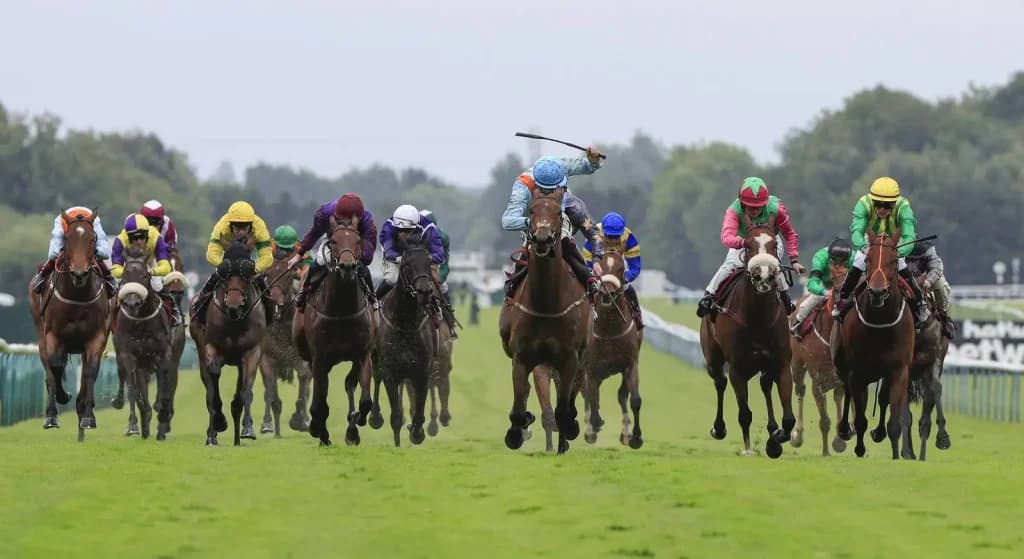 Saturday’s Horse Racing Tips: Haydock, Ascot, Newmarket, August 12th