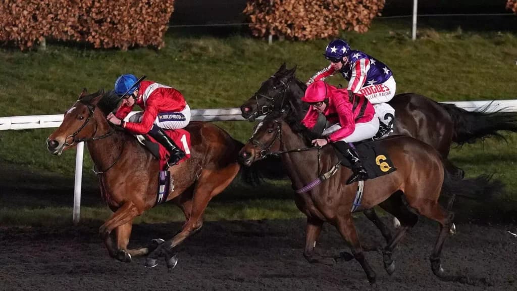 Saturday's Horse Racing Tips: Lingfield, Kempton, Newcastle, February 25th