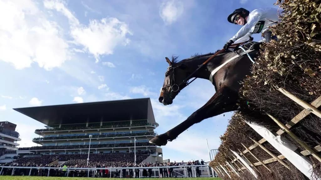 Friday’s Horse Racing Tips: Cheltenham, December 15th
