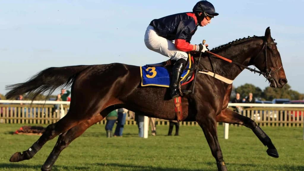 Sunday’s Horse Racing Tips: Fakenham, December 22nd