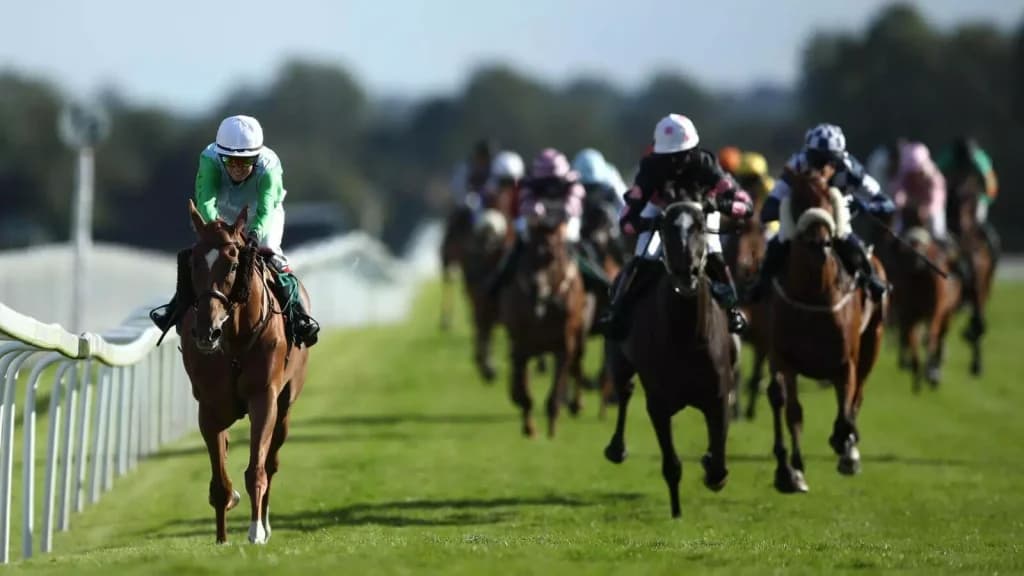 Thursday’s Horse Racing Tips: Ripon, June 1st