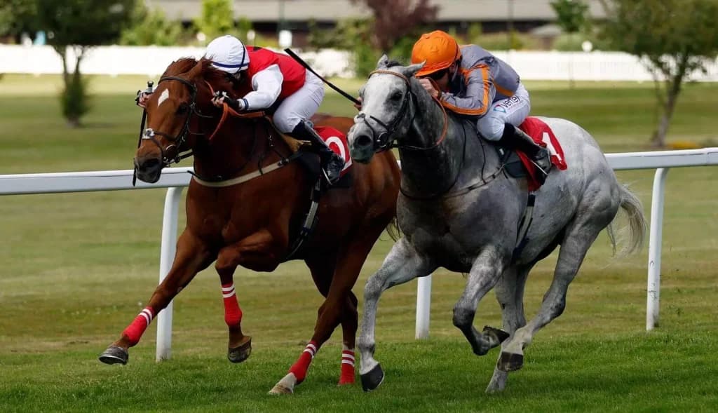 Sunday Racing Tips: Sandown, November 6th