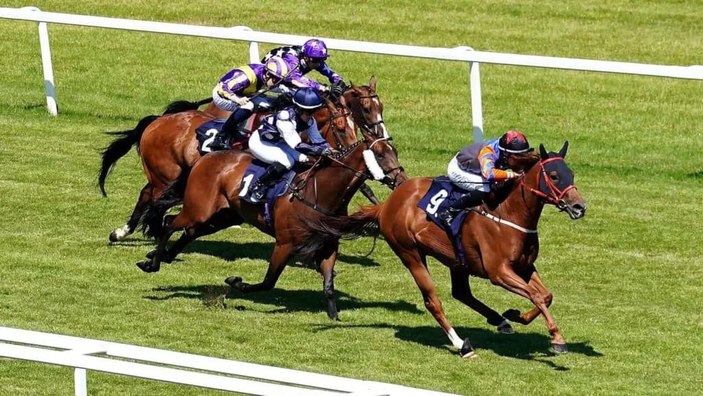 Wednesday’s Horse Racing Tips: Chepstow, October 26th