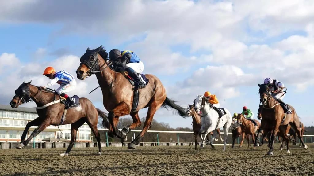 Monday’s Horse Racing Tips: Lingfield, June 12th