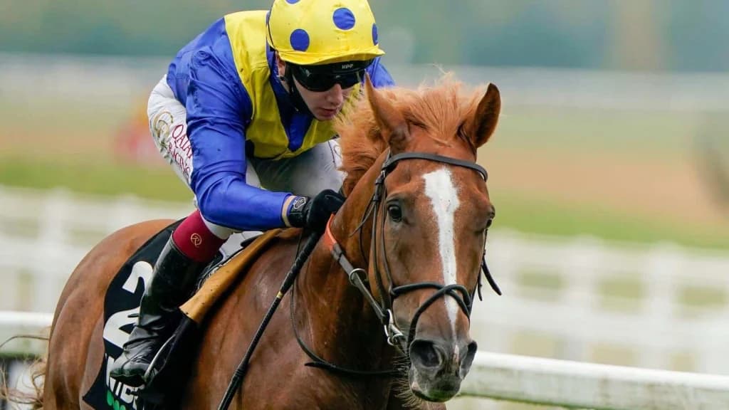 Wednesday's Horse Racing Tips: Newbury, January 15th