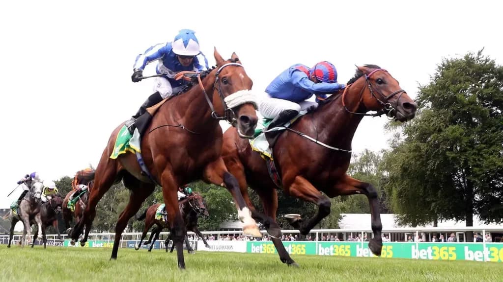 Saturday’s Horse Racing Tips: Newmarket, Haydock, Chester, September 30th
