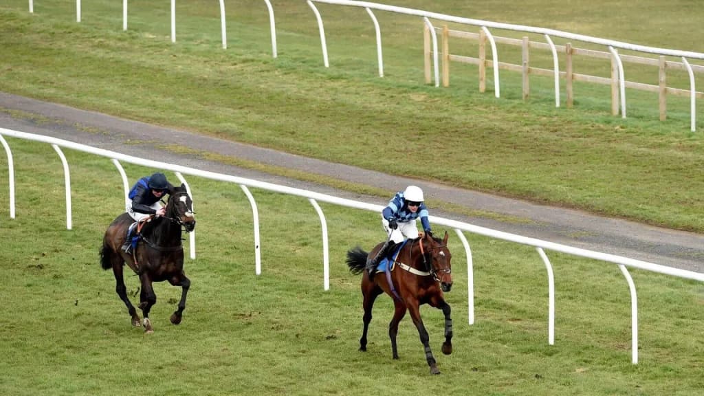 Friday's Horse Racing Tips: Kelso, February 16th