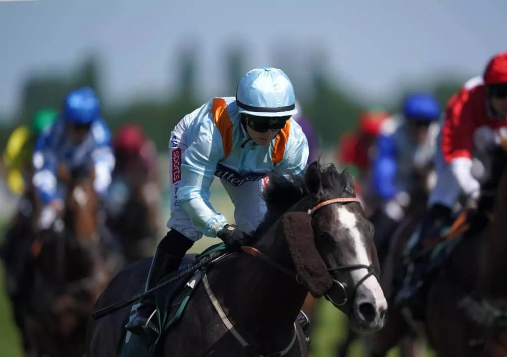 Friday’s Horse Racing Tips: Newbury, August 12th